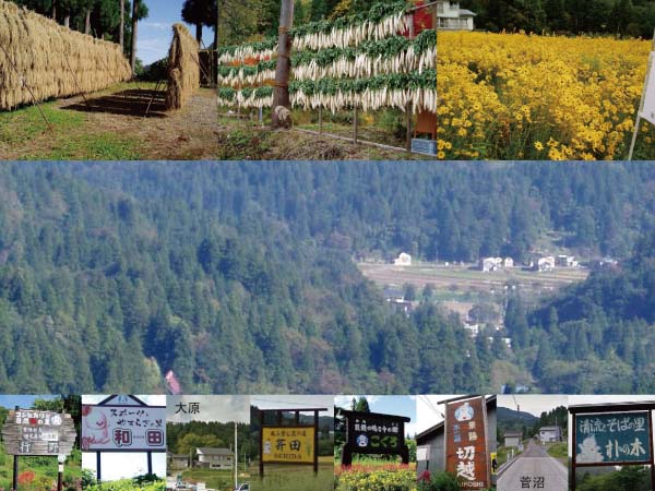 蛍の舞う朴の木田植頃